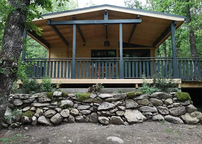 Le Soleil * 维瓦里奥